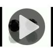 Real Diamond Stud Earrings Black Round Shape Treated 14K White Gold 2.65 Carat