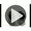 Diamond Stud Earrings Fancy Black Round Cut Treated 14K White Gold IGI 1.80 TCW